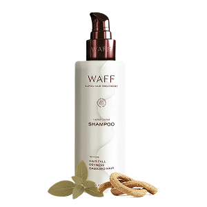 Shampoo + Conditioner