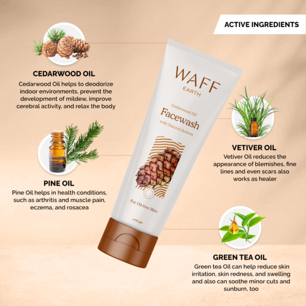 Buy WAFF Earth Facewash for Acne-Prone & Oily Skin (100ml)
