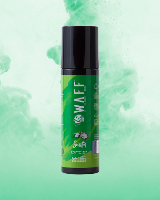 WAFF Swister Air Freshener