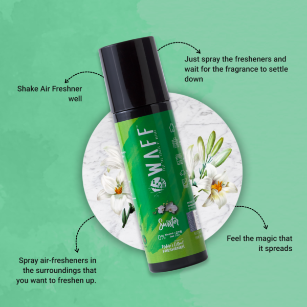WAFF Swister Air Freshener